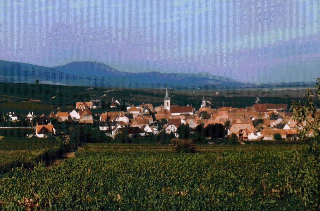 Gite Et Chambres D'Hotes, L'Erable Beblenheim Buitenkant foto